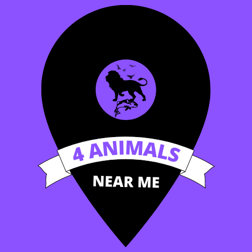 4 Animals Near Me - 4animalsnearme.com/