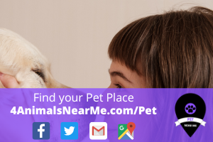 Find your Pet Place - 4animalsnearme.com - pet near me 1