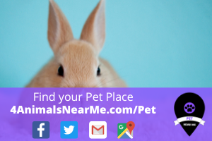 Find your Pet Place - 4animalsnearme.com - pet near me 11