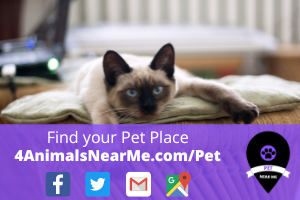 Find your Pet Place - 4animalsnearme.com - pet near me 13