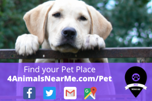 Find your Pet Place - 4animalsnearme.com - pet near me 15