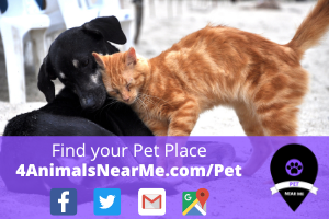 Find your Pet Place - 4animalsnearme.com - pet near me 3
