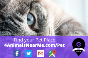 Find your Pet Place - 4animalsnearme.com - pet near me 6