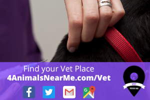 Find your Vet Place - 4animalsnearme.com - vet near me - Veterinary near me 10