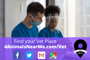 Find your Vet Place - 4animalsnearme.com - vet near me - Veterinary near me 5