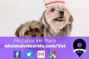 Find your Vet Place - 4animalsnearme.com - vet near me - Veterinary near me 6